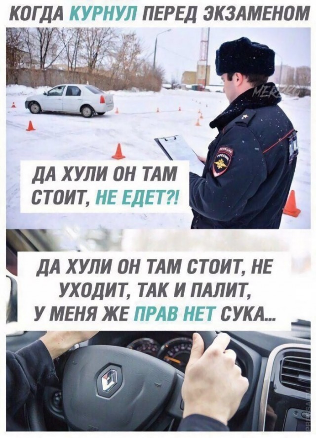 Картиночки, баянчики 27 июня