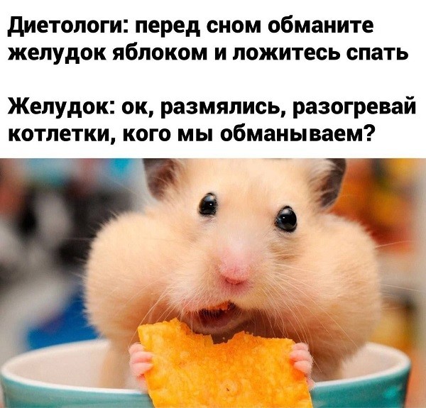 Картинки для деградации 230 (разной степени свежести)