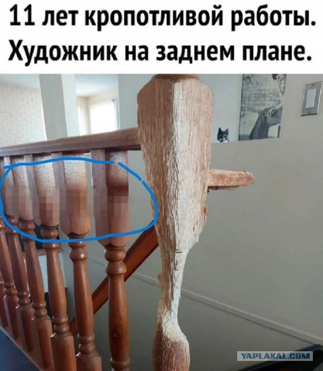Картинки для деградации 238 (разной степени свежести)