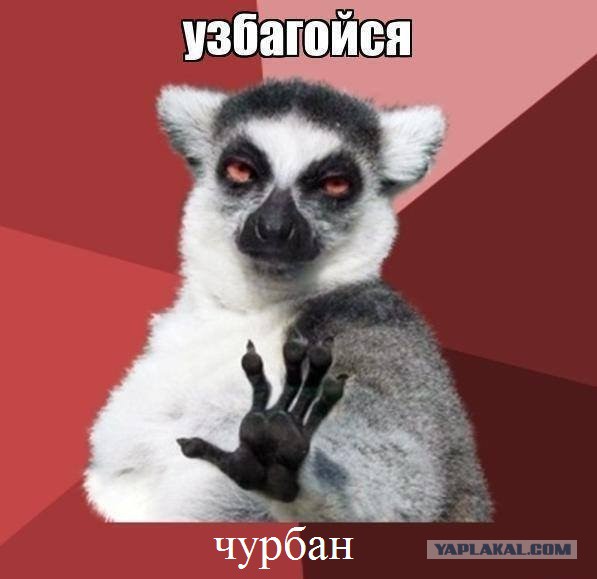 За ночь в Ростове сожгли 6 автомобилей