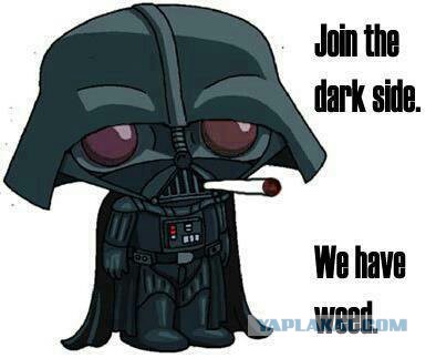 "37 человек умерло от передоза коноплей"