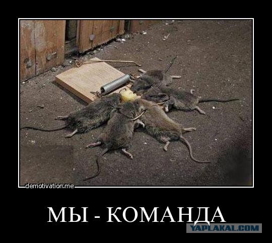 Battlefield 4