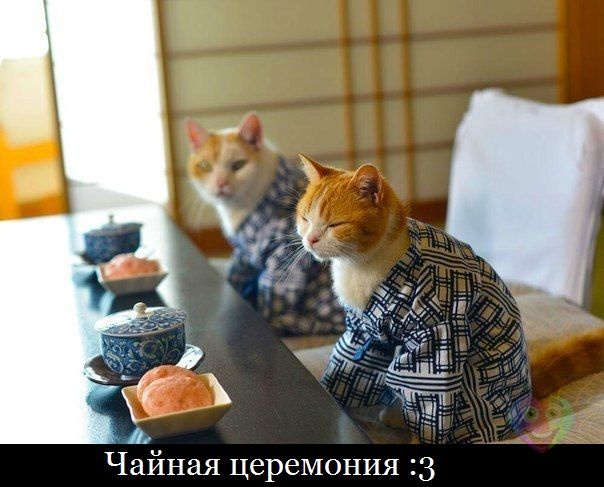 Не про олимпиаду