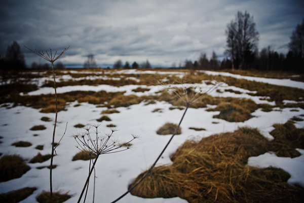 Скоро зима, товарищи !