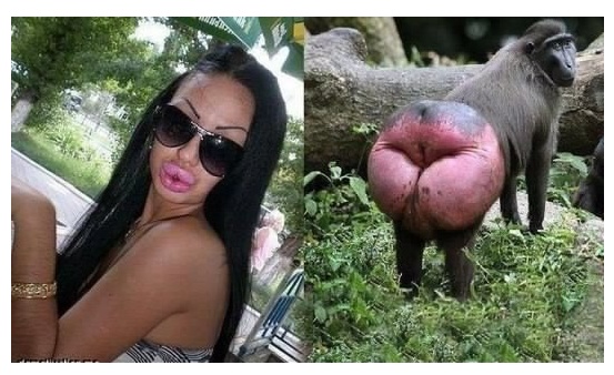 Весёлые картинки. Разбавим будни