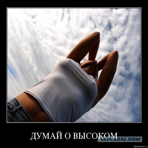 Комментарии из Сети