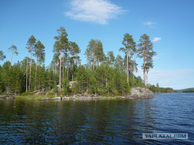 Две недели на Иовском водохранилище. Соколозеро.