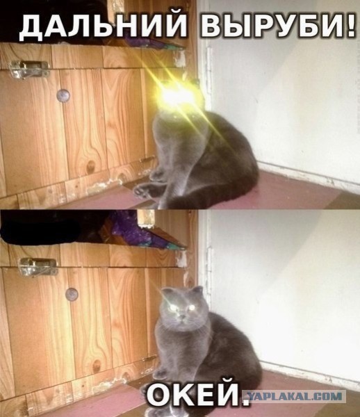 Прикольные пикчи