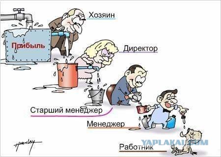 Кадровый состав вашей фирмы во всех ракурсах