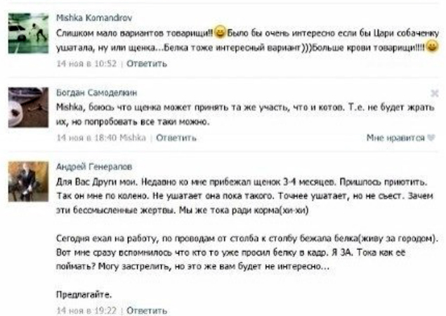 Петербуржец кормил своего удава котятами