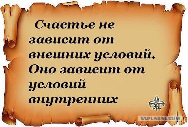 20 фактов обо всем