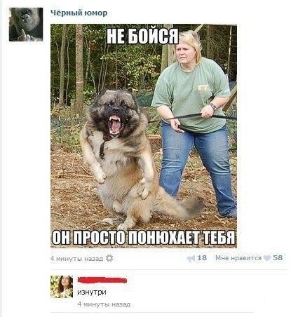 Ужасы и приколы из соцсетей 18+