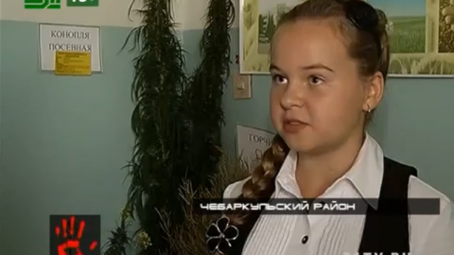 Как шестиклассник томатошку запилил