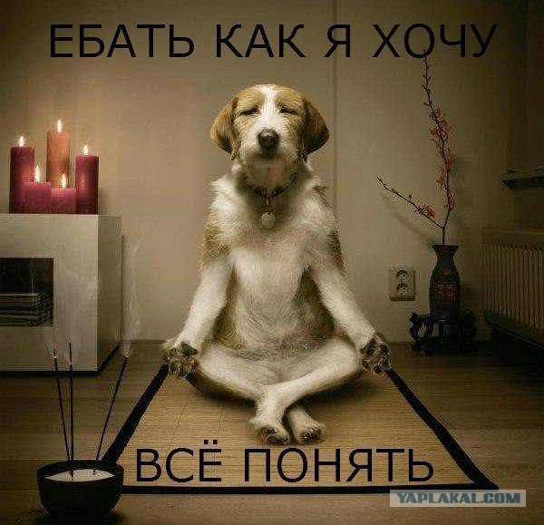 Земля погрузится на 15 дней в полную темноту