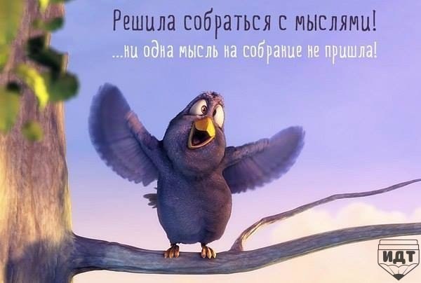 Смешные картинки