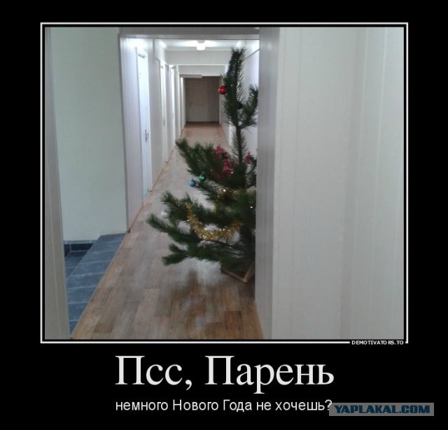 Новогодние демотиваторы 2016