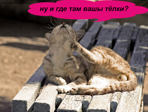 Уже да :) Ужо пятнецца...