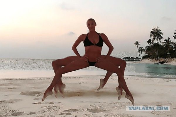 Чоткий краб