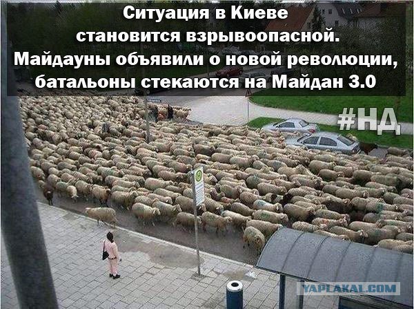 Майдан. Прямая трансляция.