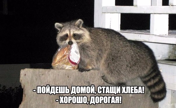 Свежая подборка прикольных картинок