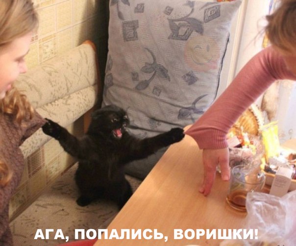 Свежая подборка картинок