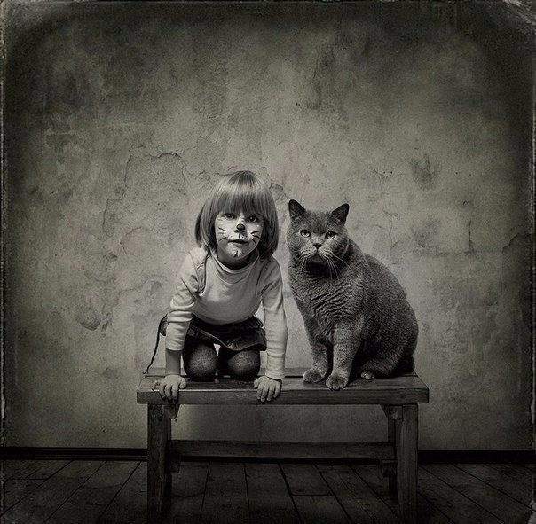 Подборка картинок на среду