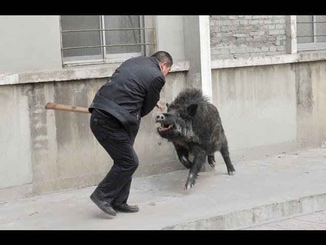 Неприятности случаются.