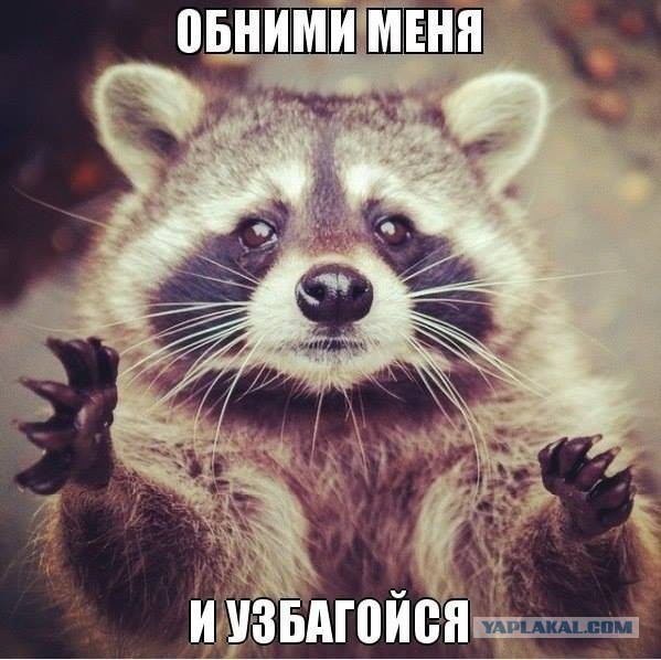 "История моей никчемной жизни"