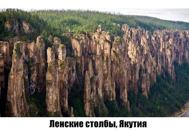 Картинки разные
