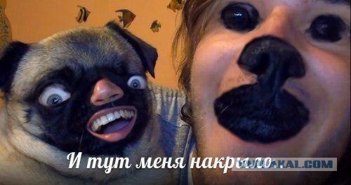 Ударная доза тупежа на начало недели