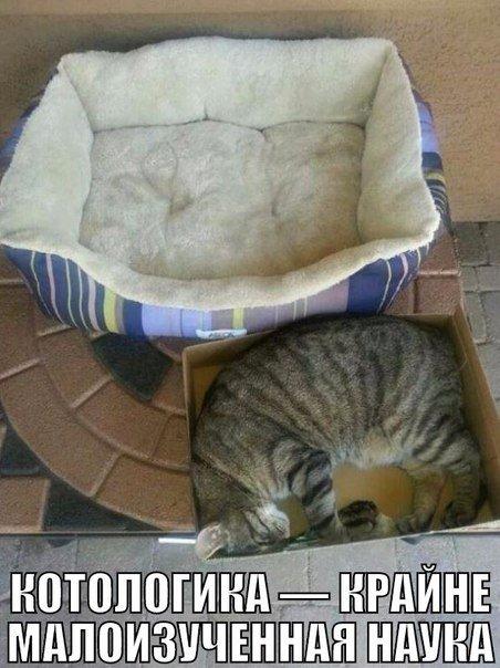 Прикольные животные