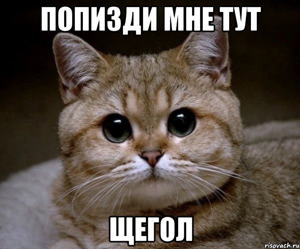 21-летний депутат предложил сделать выговор замминистра за "голые" фото жены
