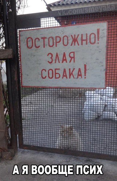 Подборка смешных картинок