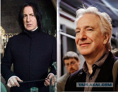"Гарри Поттер и философский камень". Как изменились актёры за 15 лет