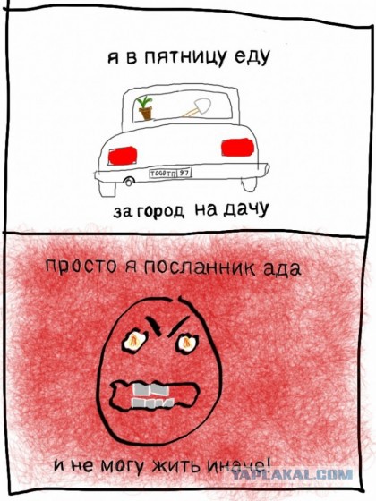 На дачу фигачу
