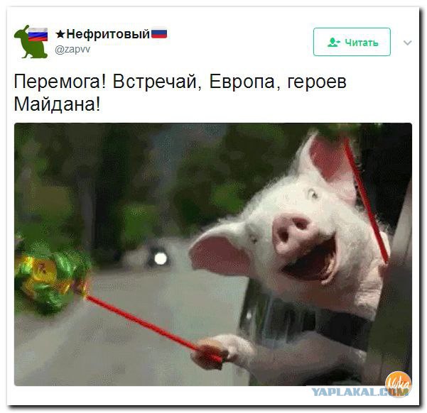Первые украинцы въехали в ЕС без виз