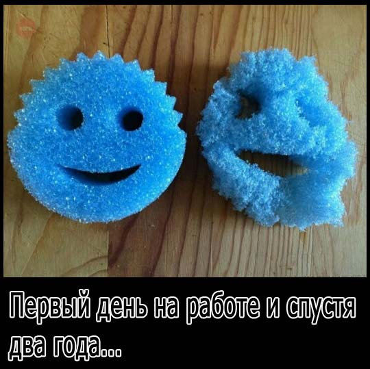 Журнал "школьный деградант" 6+
