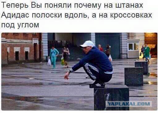 Журнал деградант