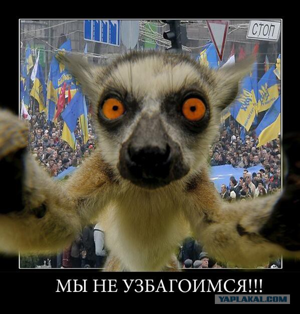 Шо Опять? Прямые трансляции майдана в Киеве