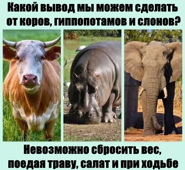 Подборка интересных и веселых картинок