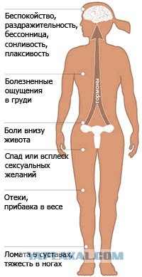 Если у вашей жены ПМС