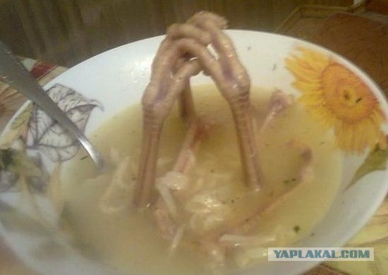 нищебродский супчег