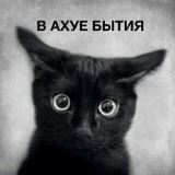 За что вы нас так не любите?