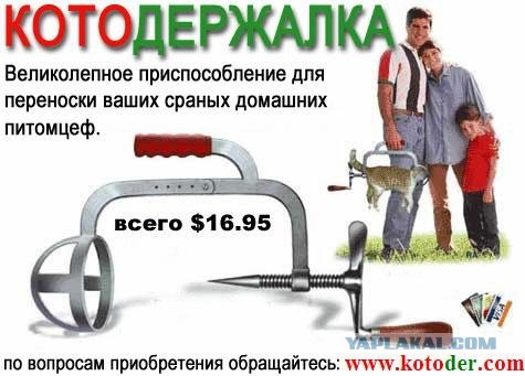 Бюджетная кошачья переноска