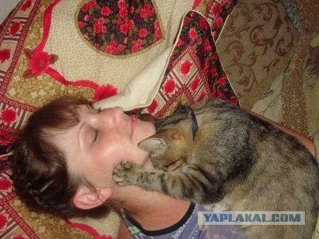 Сонный Котовторник