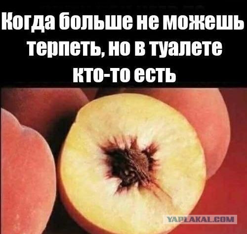 Когда туалет долго занят