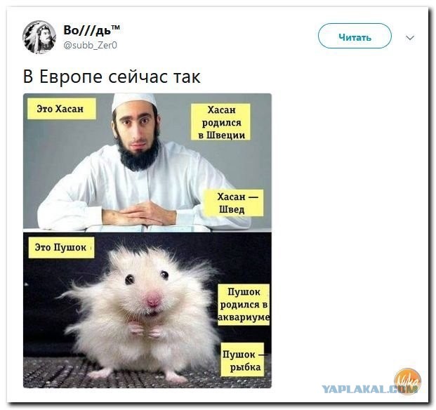 Ни разу не болгарин и не румын: настоящая национальность Киркорова