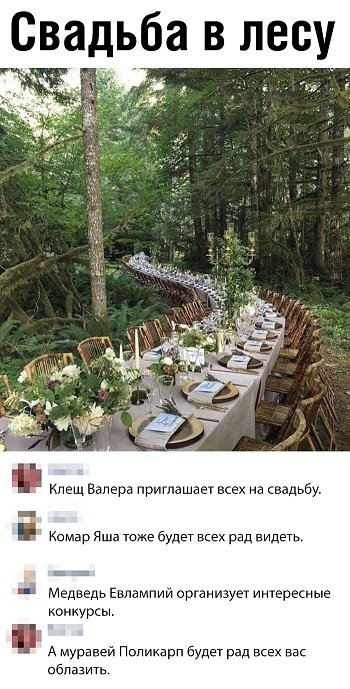 Кривые зеркала
