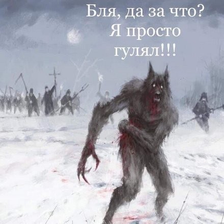 Картинки с надписями и анекдоты