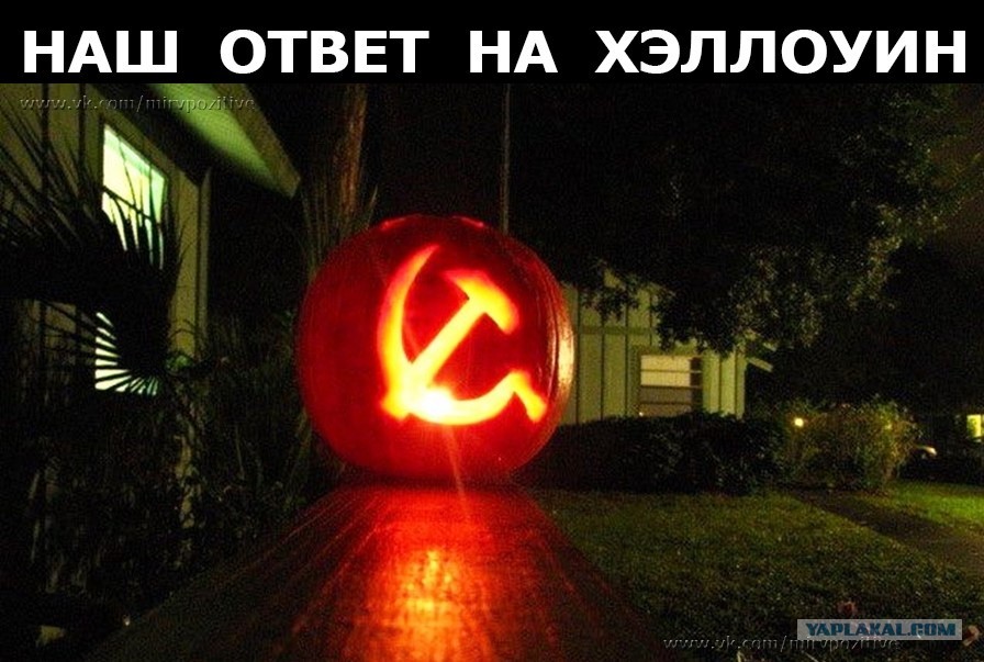 13611028.jpg